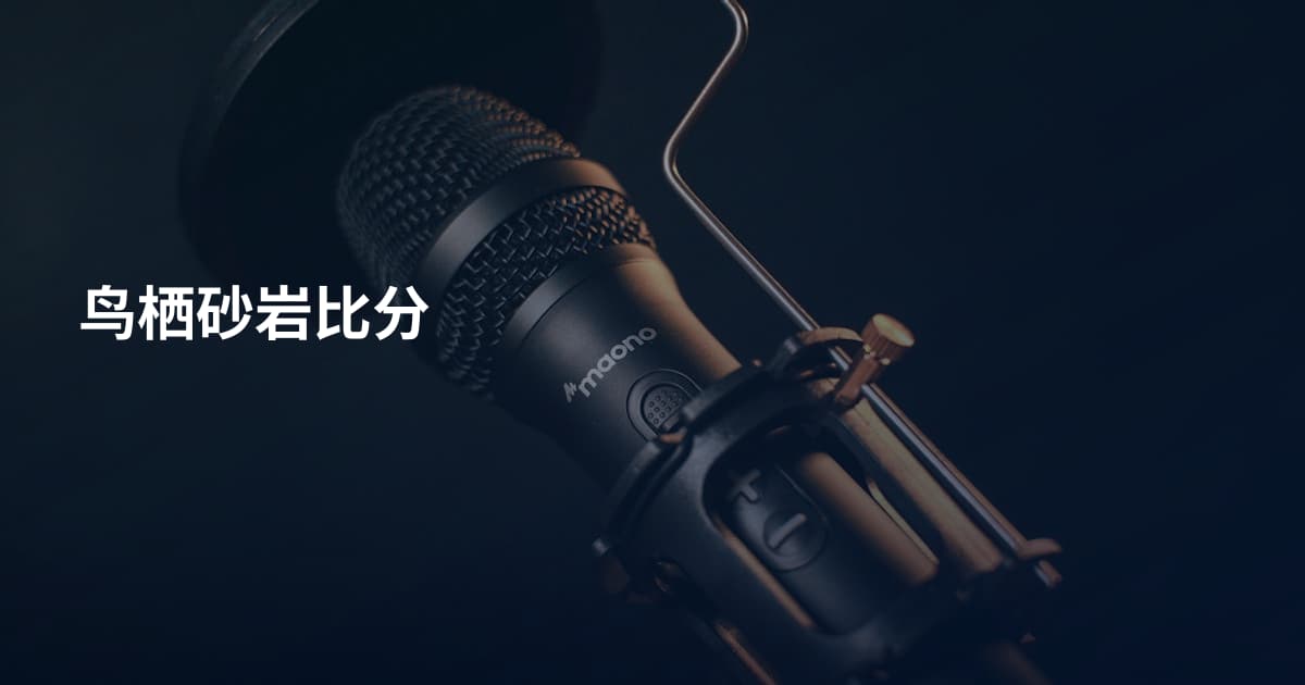 鸟栖砂岩比分