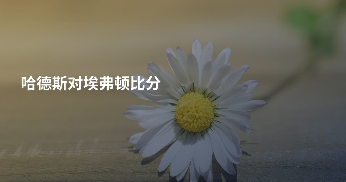 哈德斯对埃弗顿比分