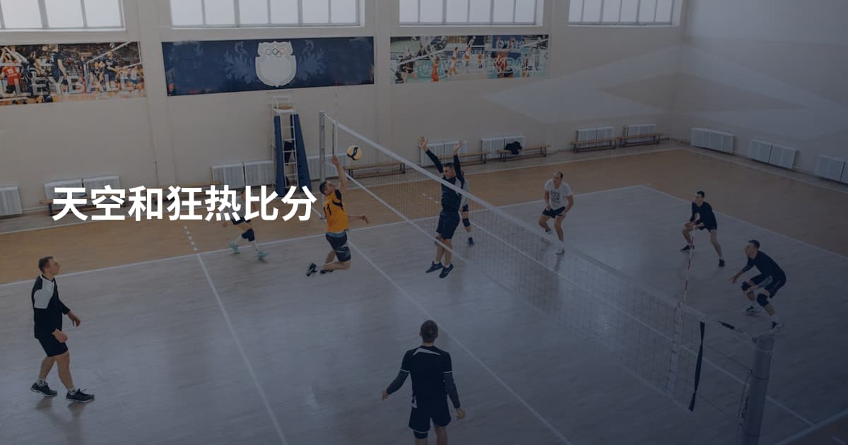 天空和狂热比分