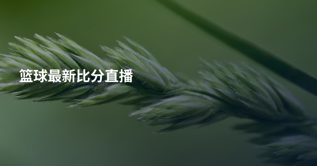 篮球最新比分直播