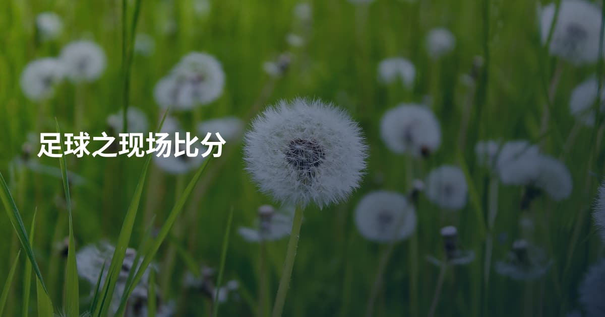 足球之现场比分