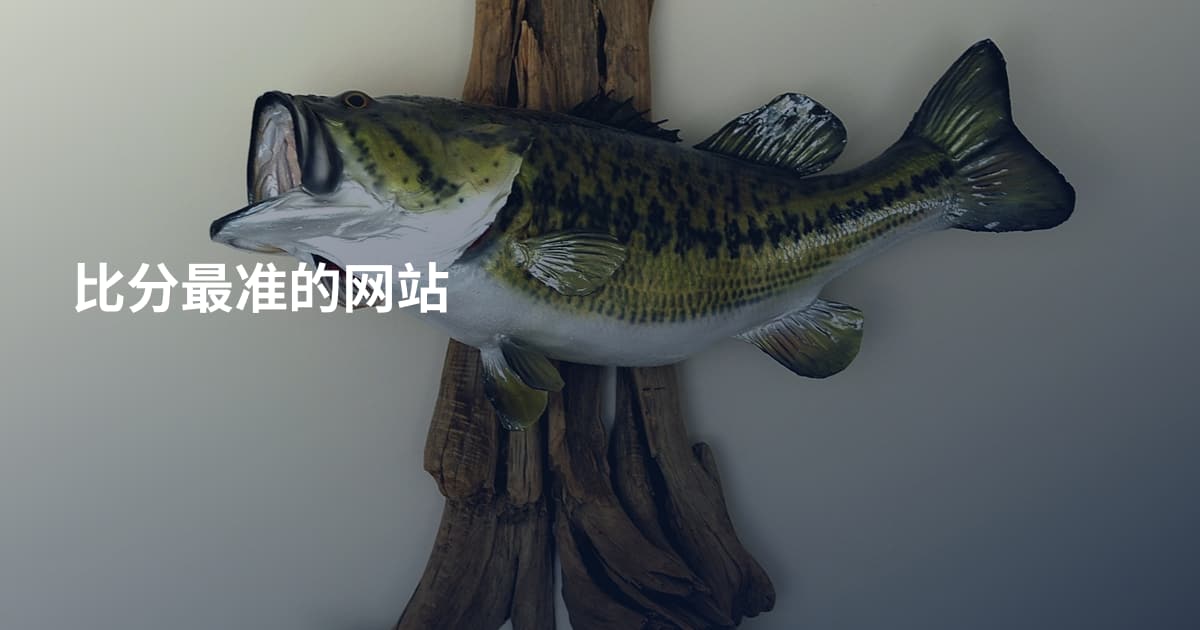 比分最准的网站