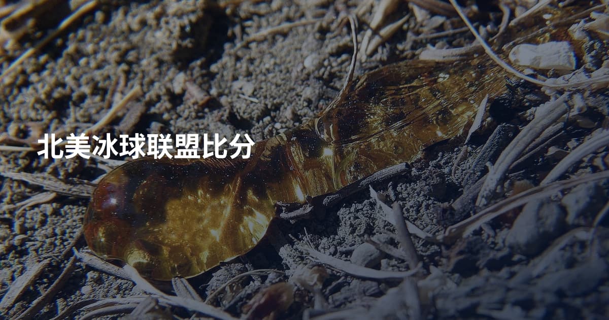 北美冰球联盟比分