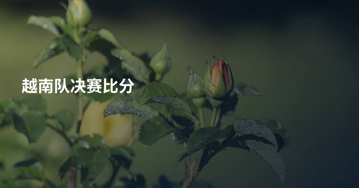 越南队决赛比分