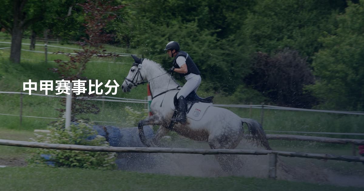 中甲赛事比分