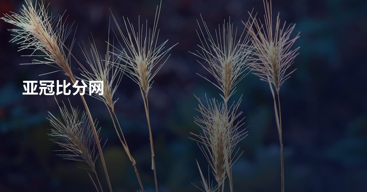 亚冠比分网