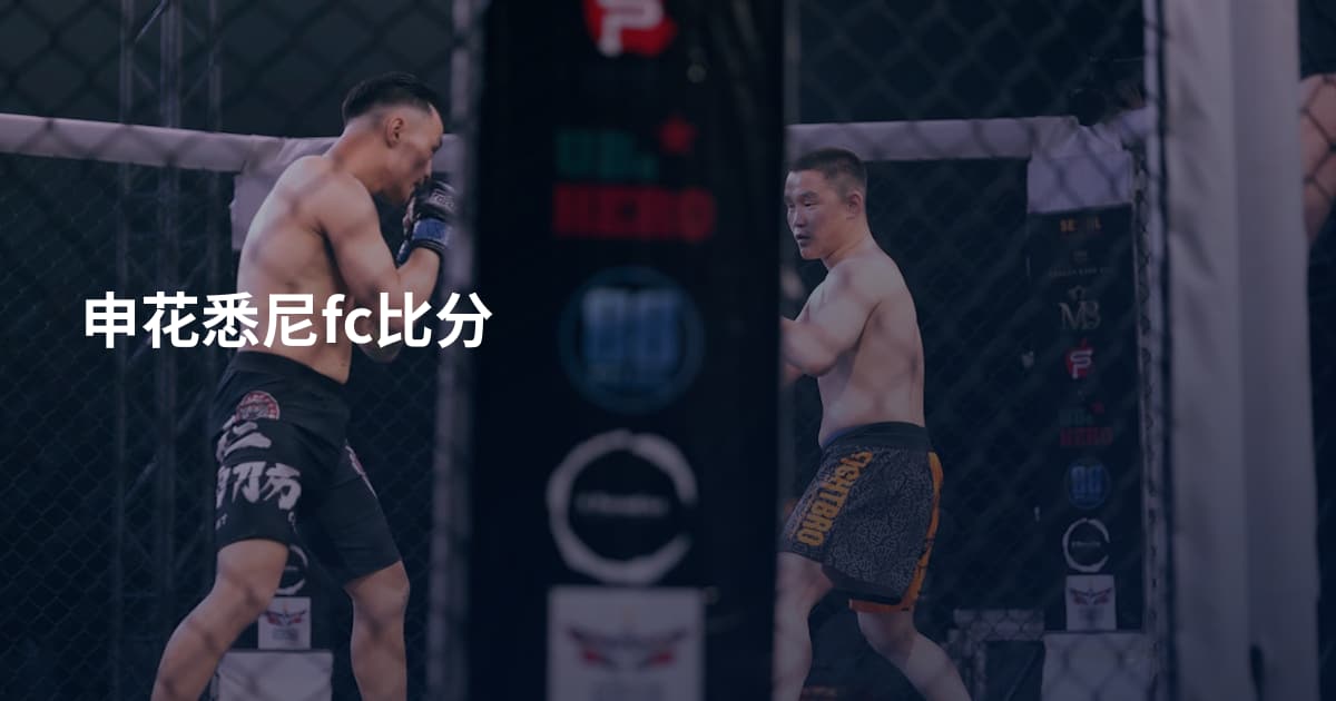 申花悉尼fc比分