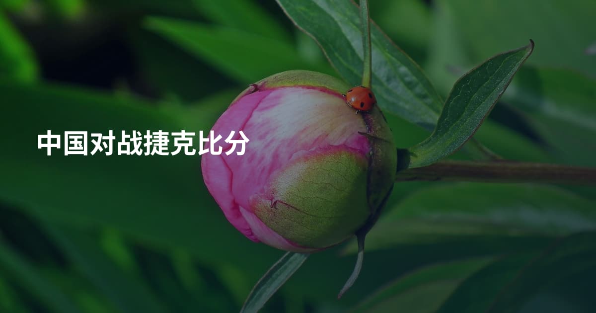 中国对战捷克比分