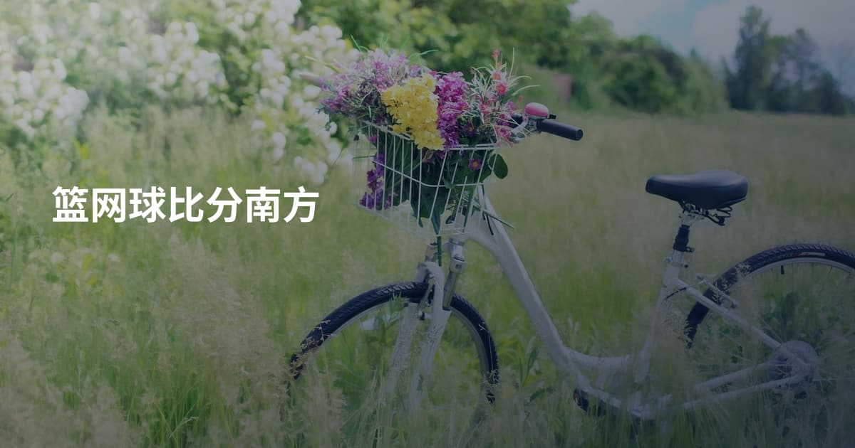 篮网球比分南方
