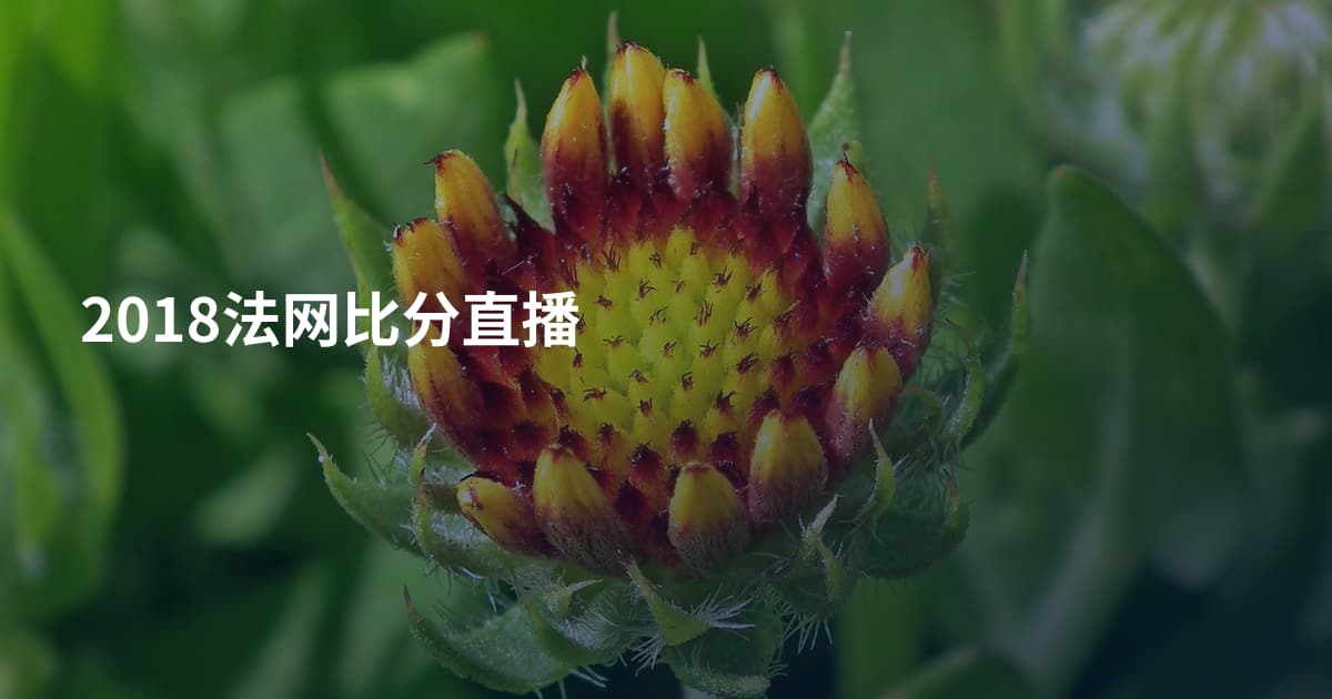 2018法网比分直播