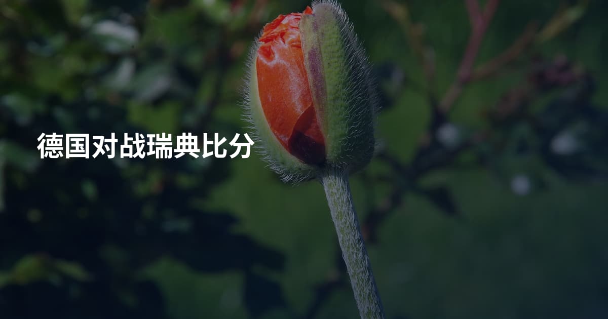 德国对战瑞典比分