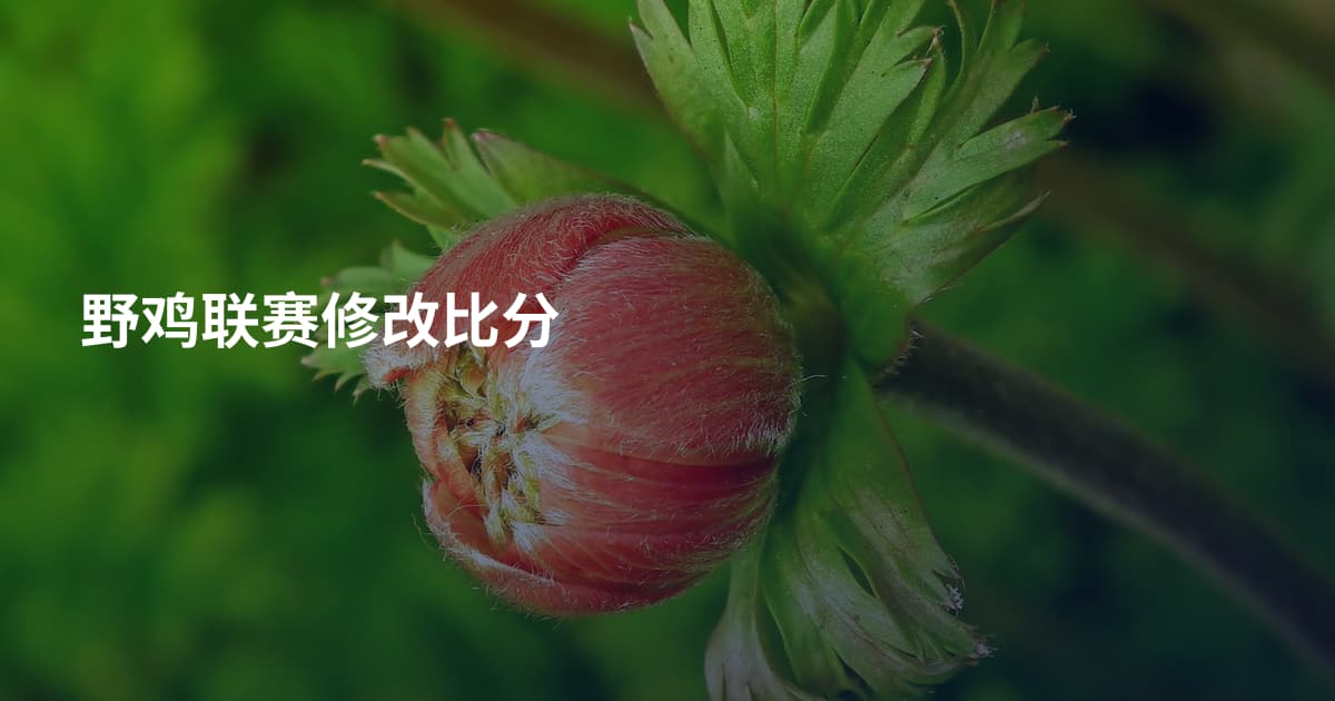 野鸡联赛修改比分
