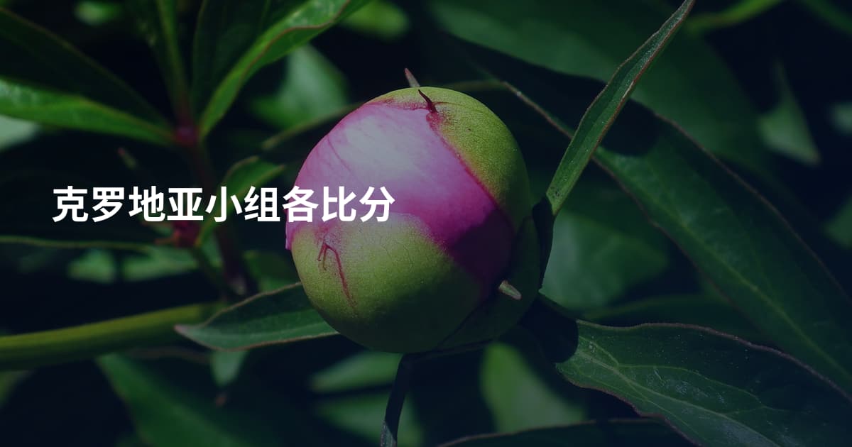 克罗地亚小组各比分