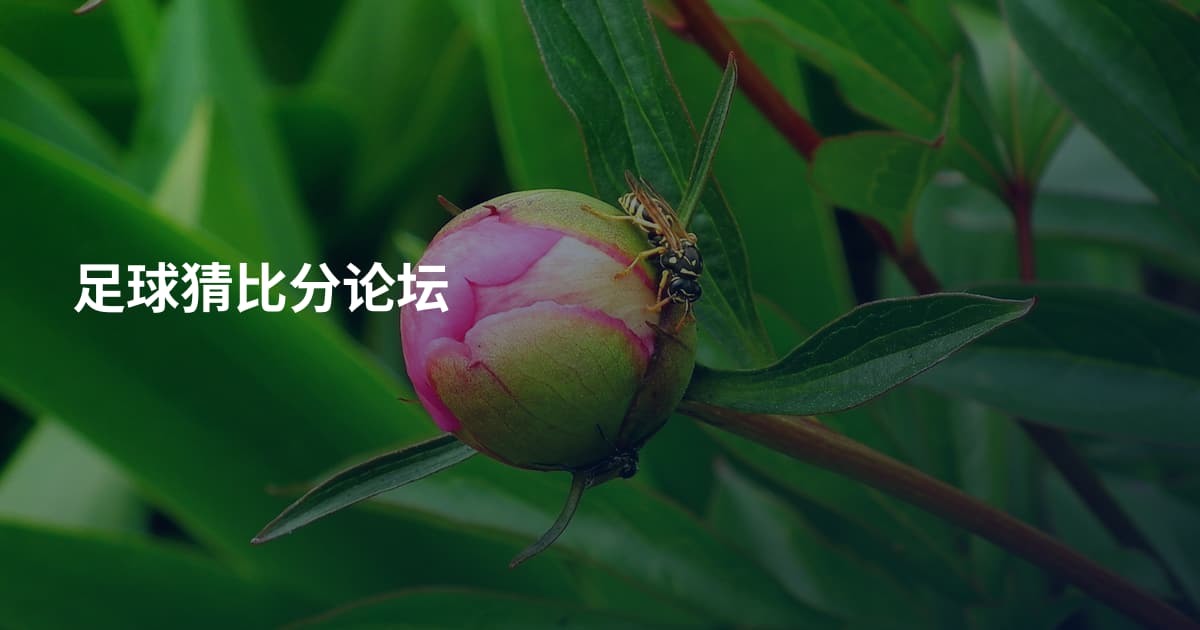 足球猜比分论坛