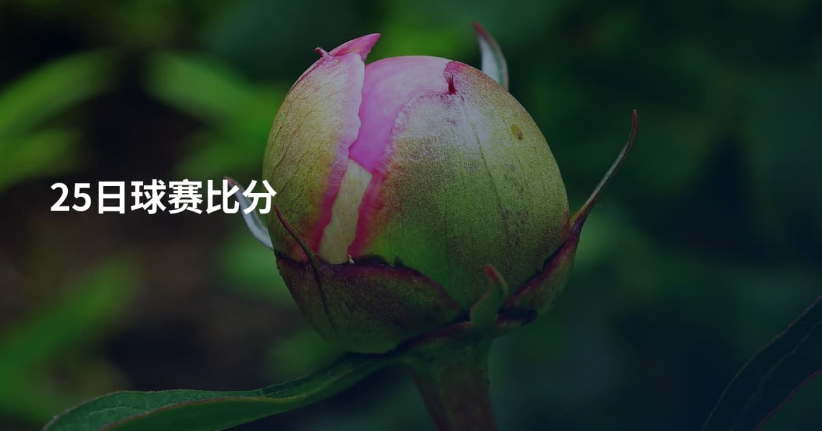 25日球赛比分