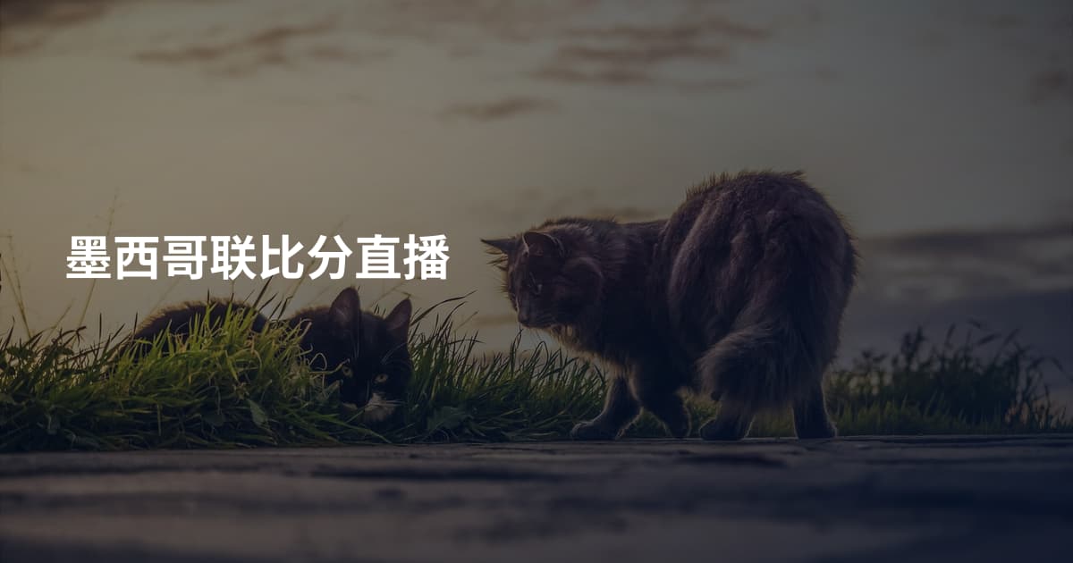 墨西哥联比分直播