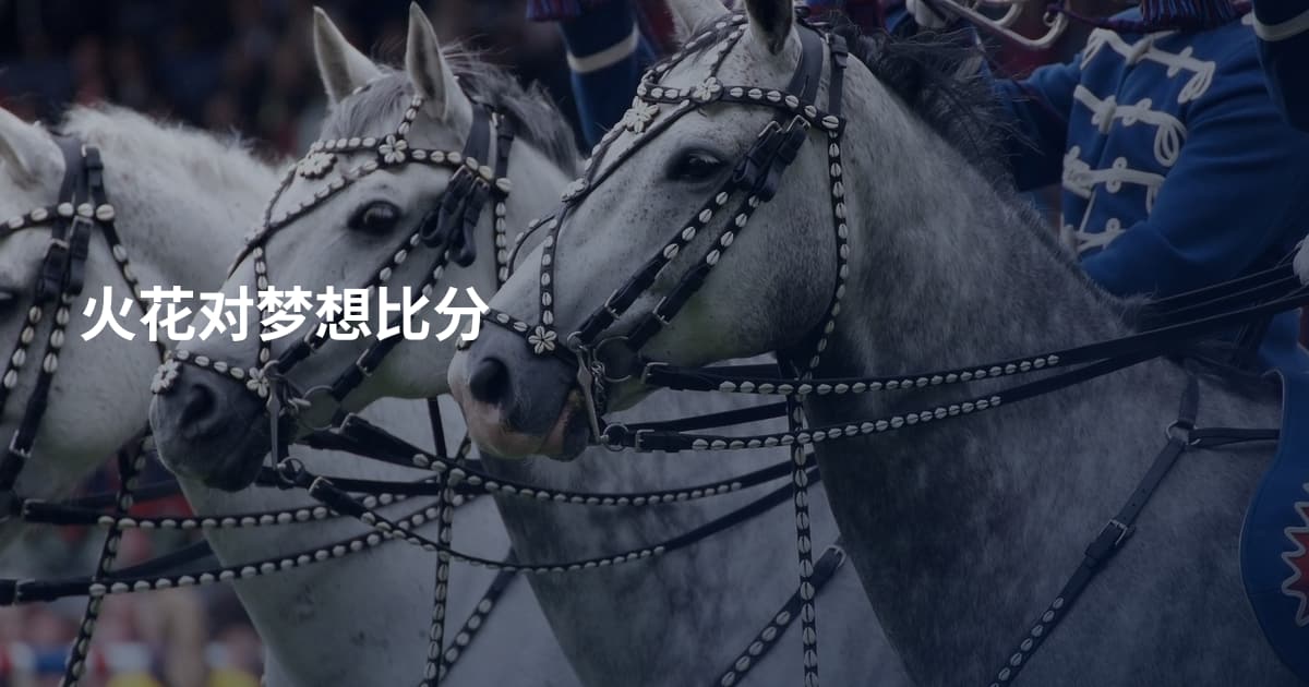 火花对梦想比分