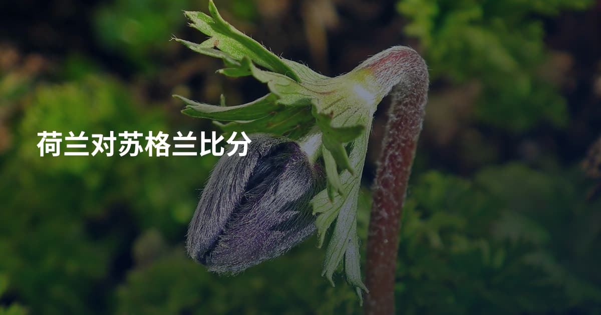 荷兰对苏格兰比分