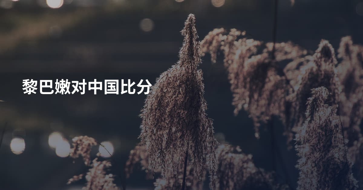 黎巴嫩对中国比分