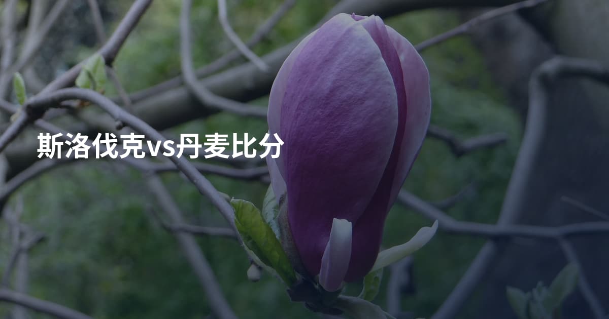 斯洛伐克vs丹麦比分