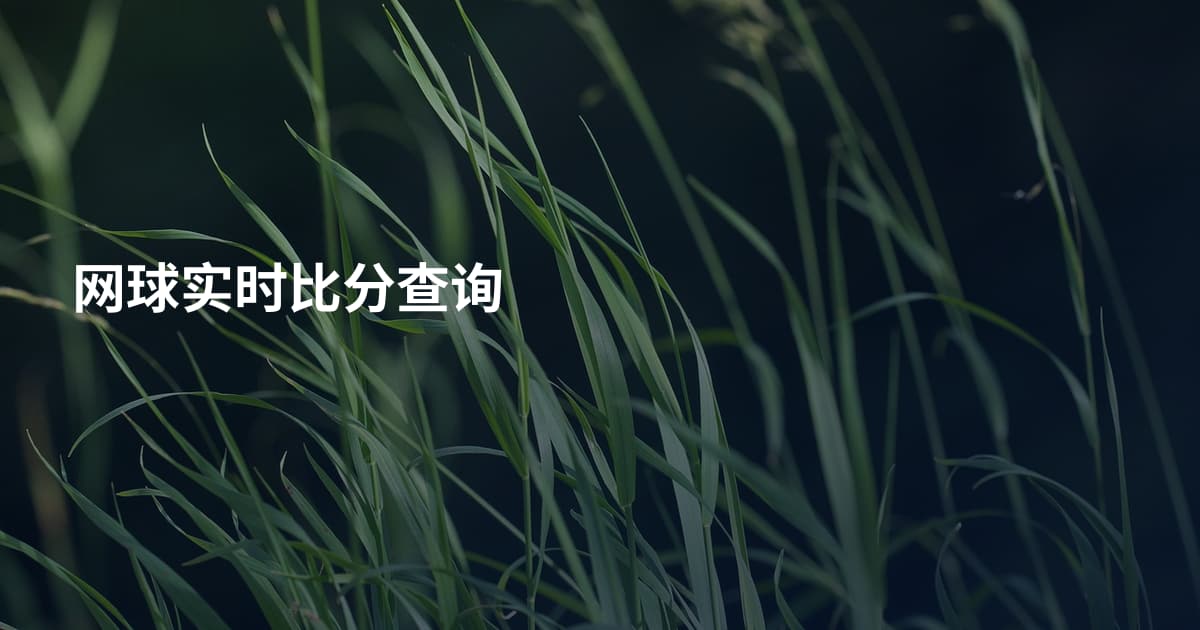 网球实时比分查询