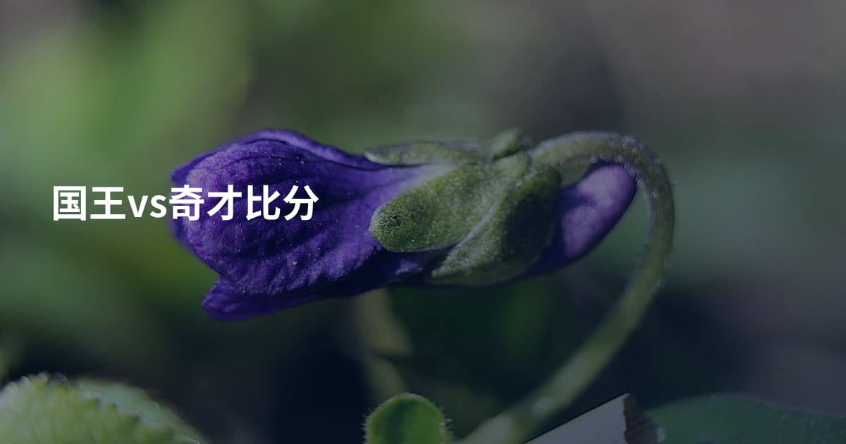国王vs奇才比分