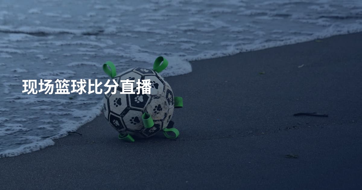 现场篮球比分直播