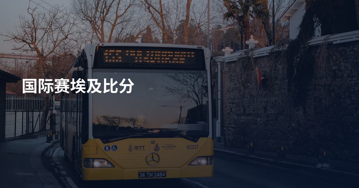 国际赛埃及比分