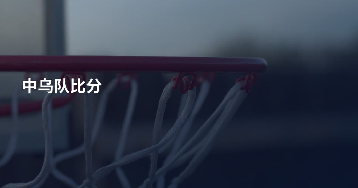 中乌队比分