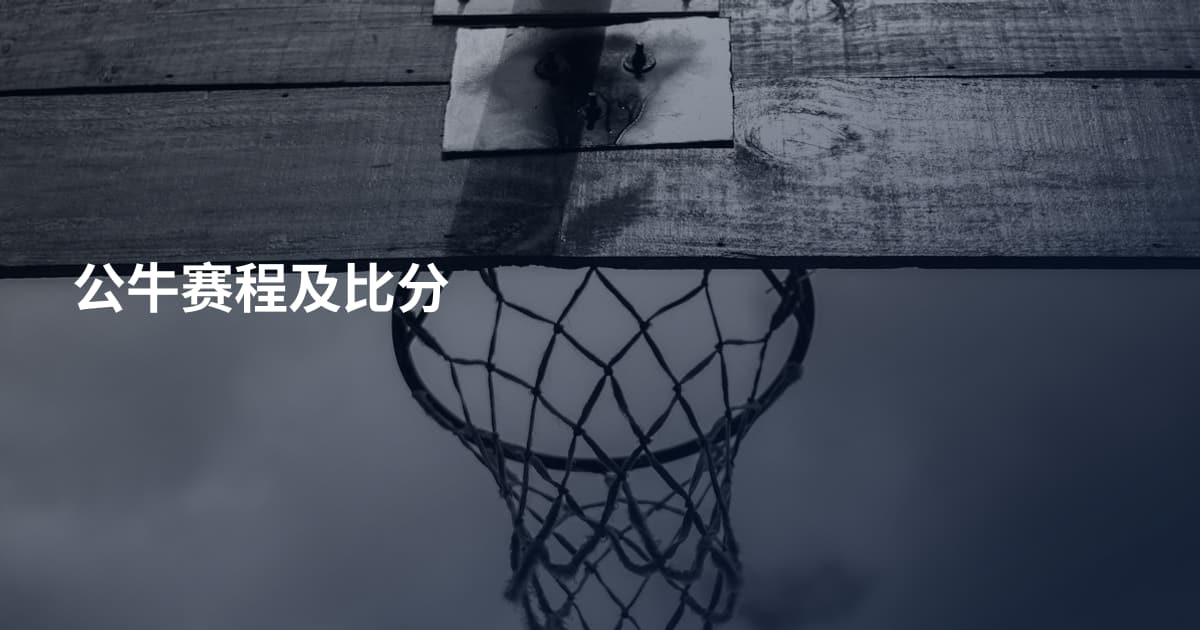 公牛赛程及比分