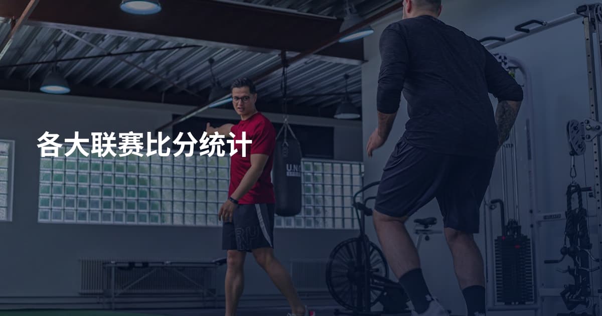各大联赛比分统计