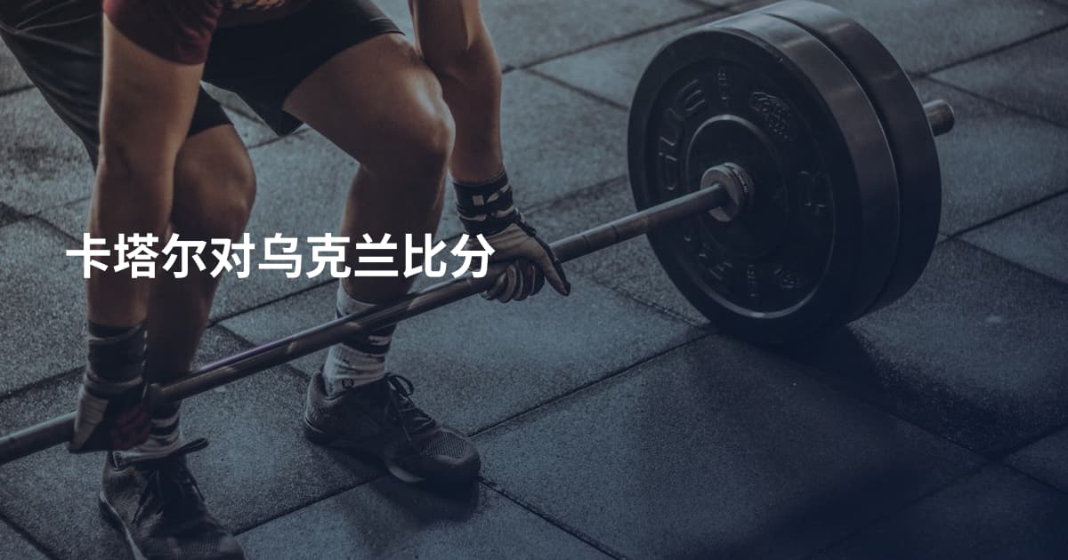 卡塔尔对乌克兰比分