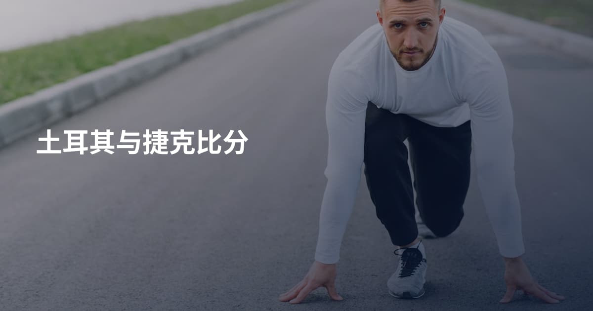 土耳其与捷克比分
