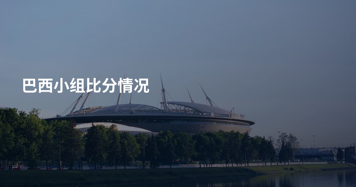 巴西小组比分情况