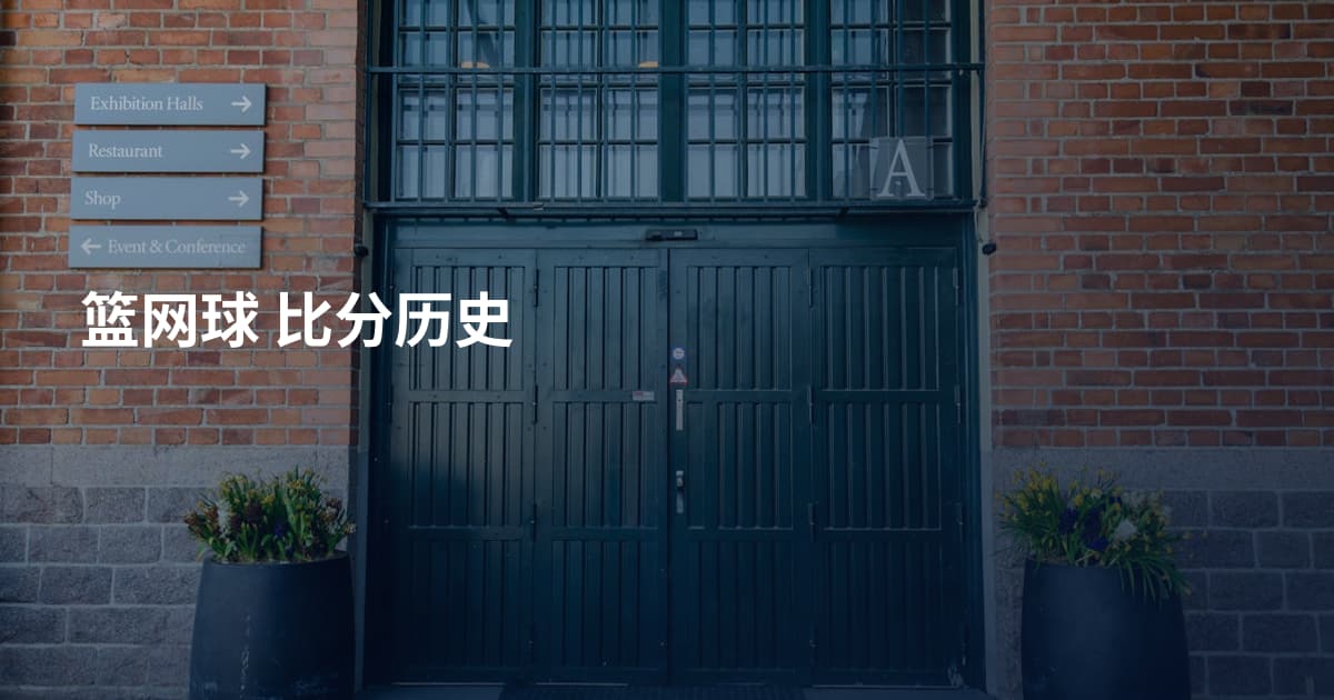 篮网球 比分历史