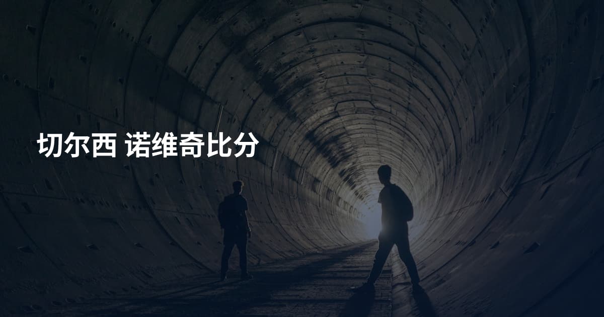切尔西 诺维奇比分