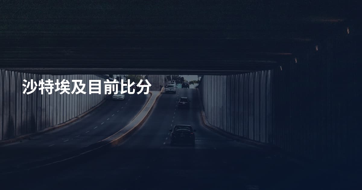 沙特埃及目前比分