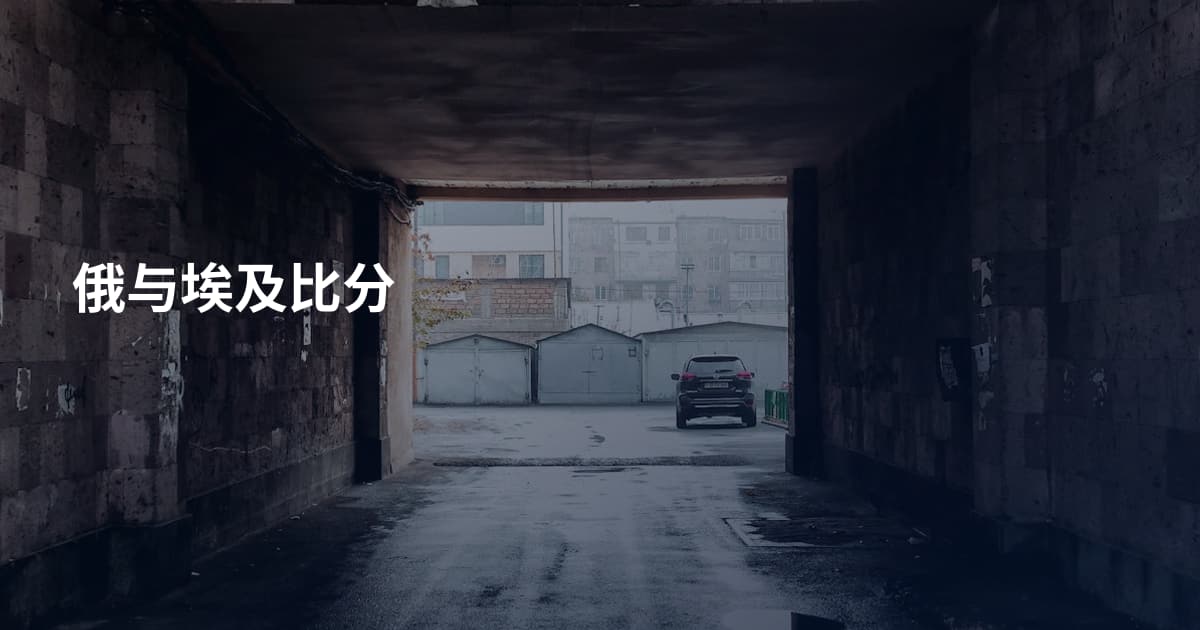 俄与埃及比分
