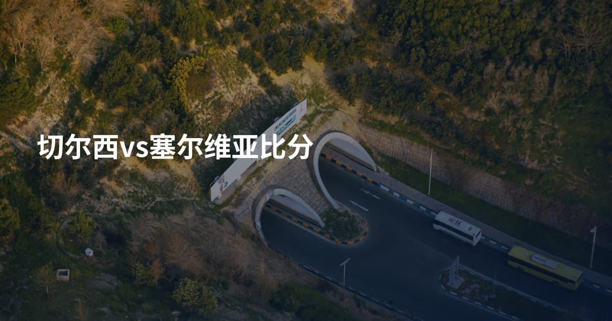 切尔西vs塞尔维亚比分