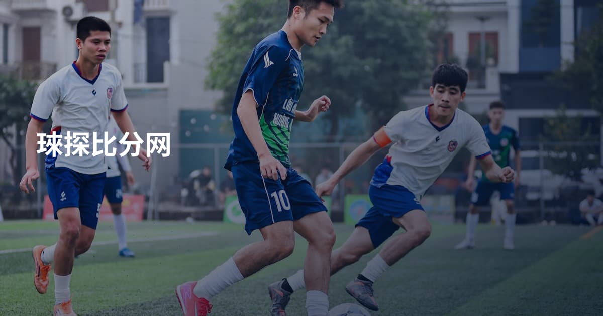 琜探比分网
