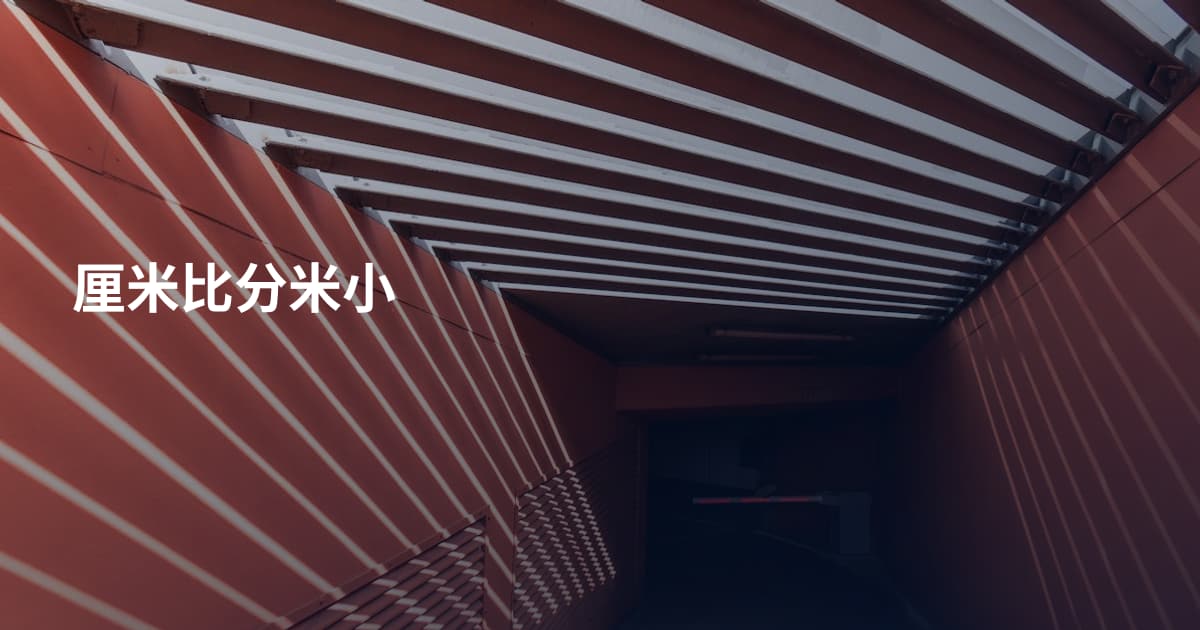 厘米比分米小