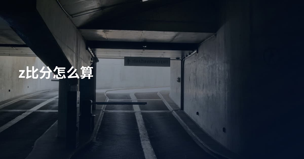 z比分怎么算