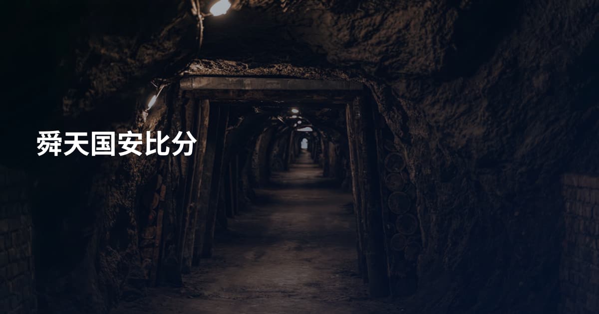 舜天国安比分