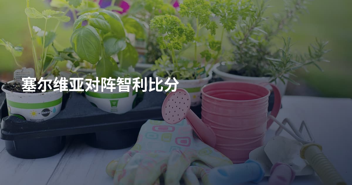 塞尔维亚对阵智利比分