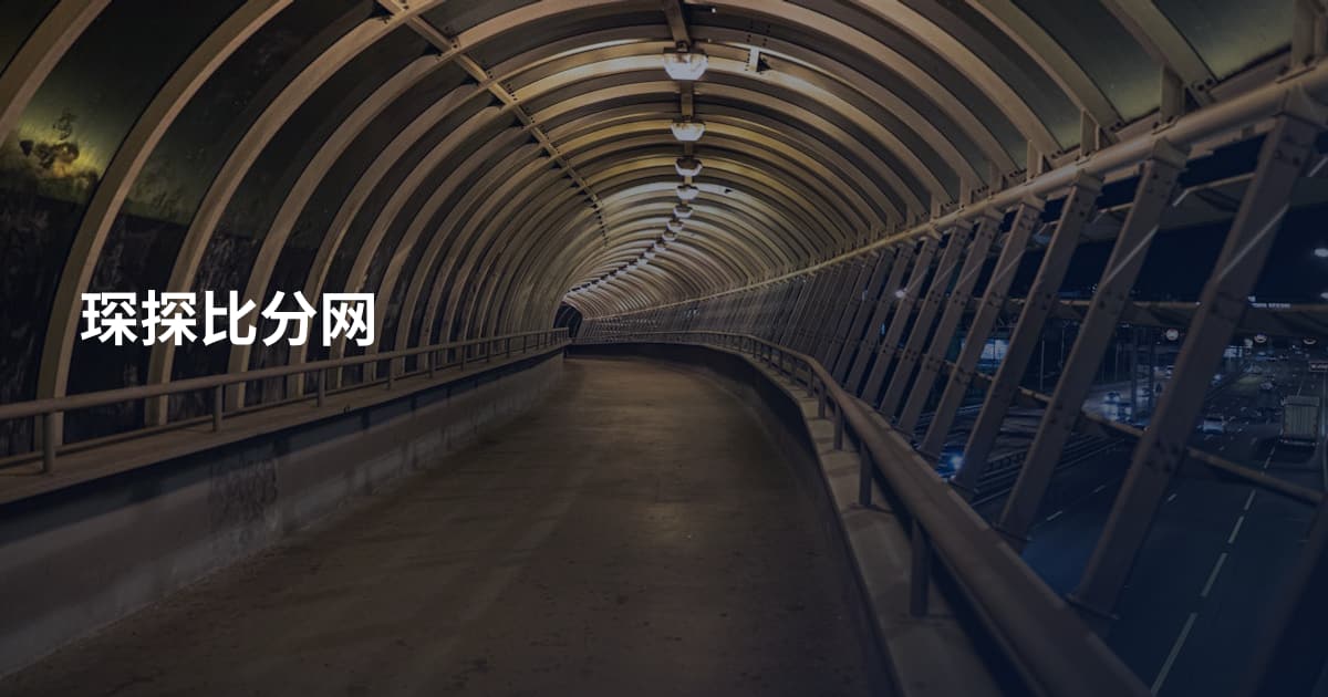 琛探比分网