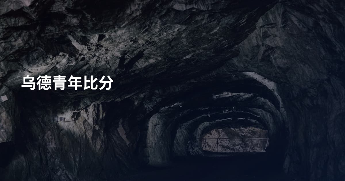 乌德青年比分
