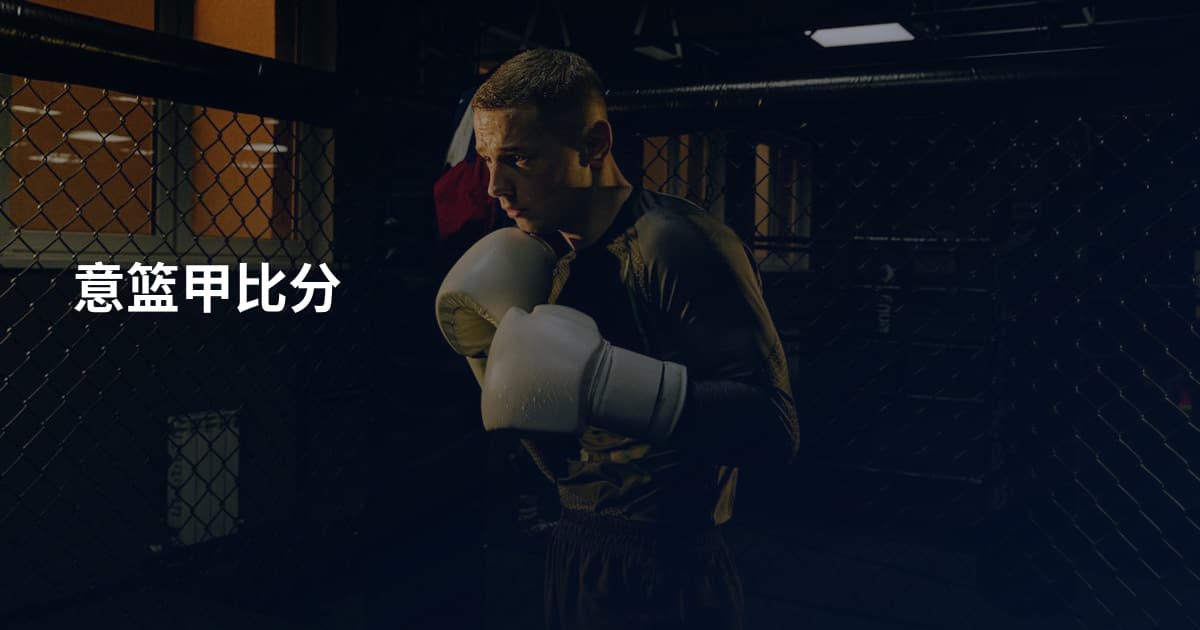意篮甲比分