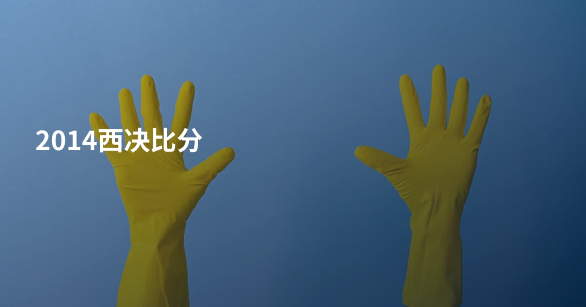 2014西决比分
