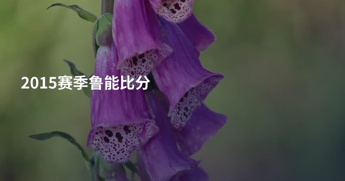 2015赛季鲁能比分