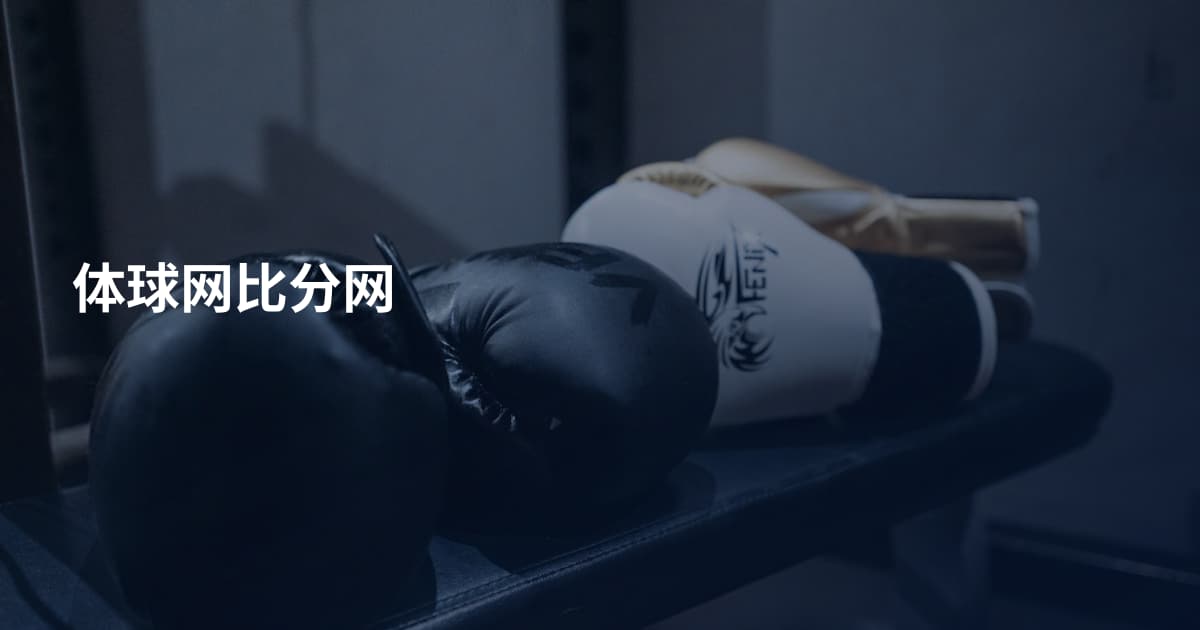 体球网比分网